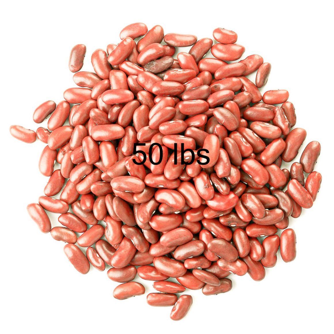 216 - Red Kidney Light Beans