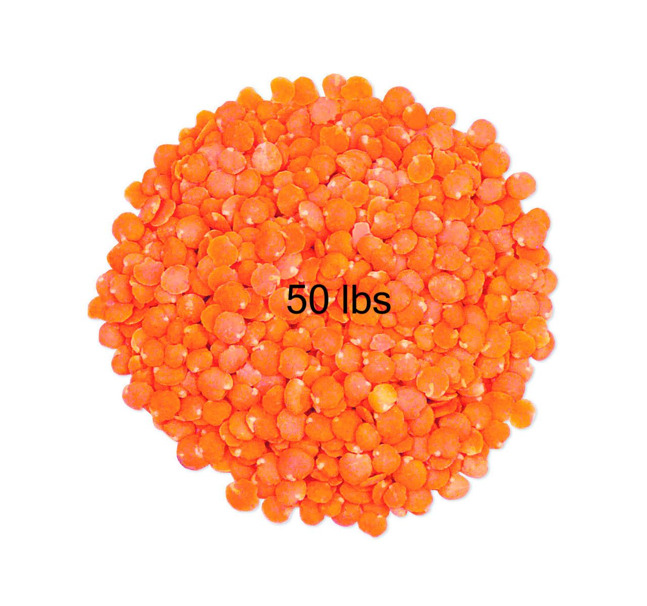 213 - Red Lentils